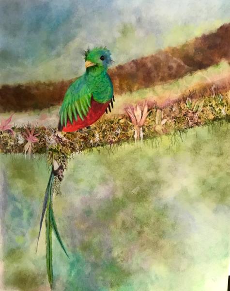 Quetzal