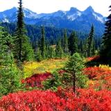 Mount Rainier National Park