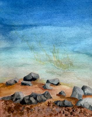 Low Tide Mission Bay