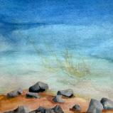 Carla Scheidlinger Watercolors