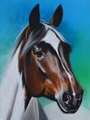 The equine beauty, 38cm x 28cm, 2020