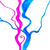 Rivers 