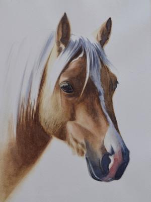 JULIE, 25cm X 35cm, 2017 JULIE, 25cm X 35cm, 2017