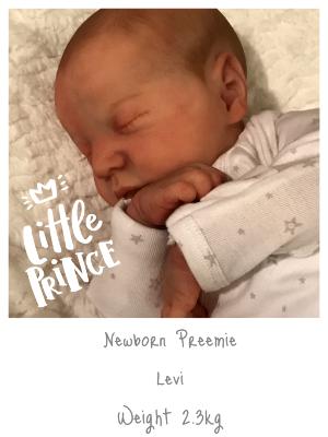  Preemie Baby ~ LEVI ~ ADOPTED/SOLD