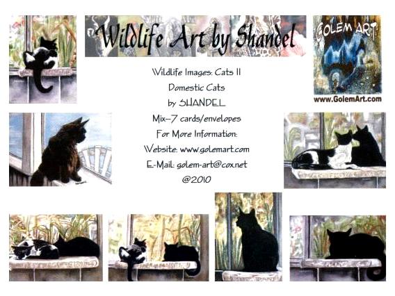 Note Cards--Cats II--Domestic Cats