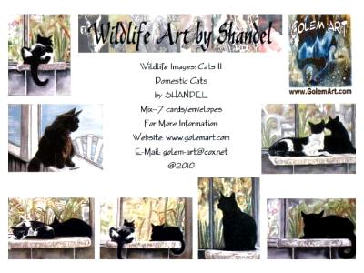 Note Cards--Cats II--Domestic Cats