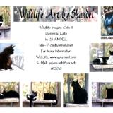Note Cards--Cats II--Domestic Cats