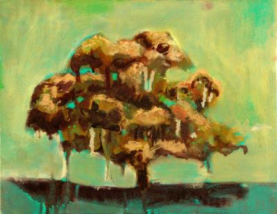 taproot