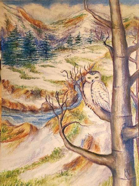 Snowy Owl landscape