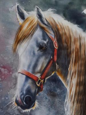 The beauty of the Tennessee Walking Horse, 56cm x 38cm, 2018