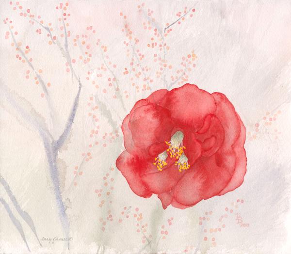 The Early Camellia