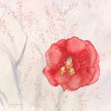 The Early Camellia