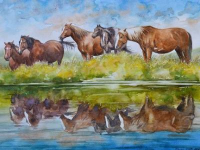 Horse reflections,  35cm x 50cm, 2015