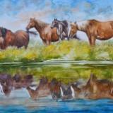 Horse reflections,  35cm x 50cm, 2015