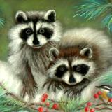 Racoons, Christmas Card 2014