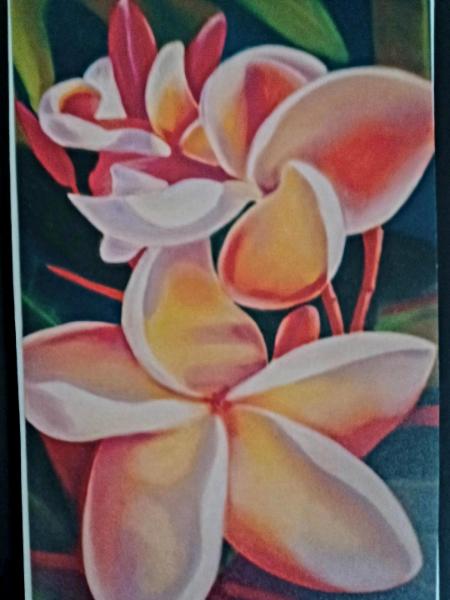 "Plumeria with Buds"