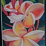 "Plumeria with Buds"