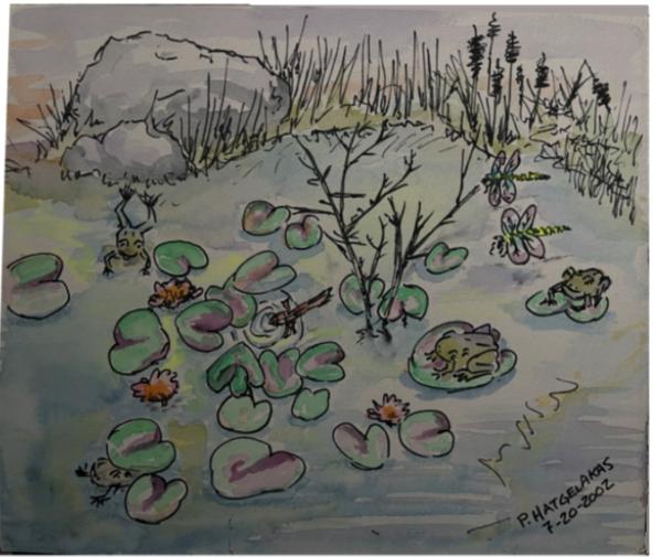 FROG POND