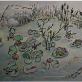 FROG POND