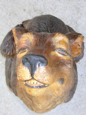 Coyote face Coyote face
