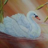 Patricia Gray, Fine Arts