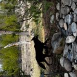 CUSTOM METAL ART IN CENTRAL OREGON