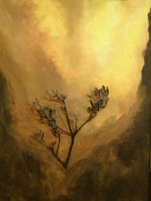Inner Landscape Inner Landscape