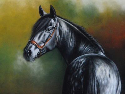 La belleza del caballo Pura Raza Española, 38cm x 56cm, 2021