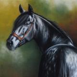 La belleza del caballo Pura Raza Española, 38cm x 56cm, 2021