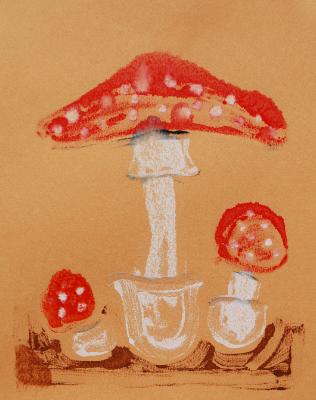 Amanita Muscaria Amanita Muscaria