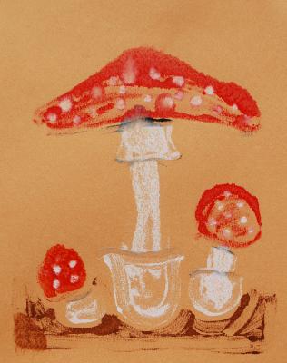 Amanita Muscaria