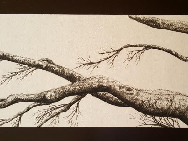 Branches 2