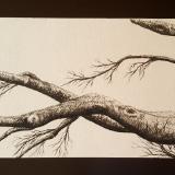 Branches 2