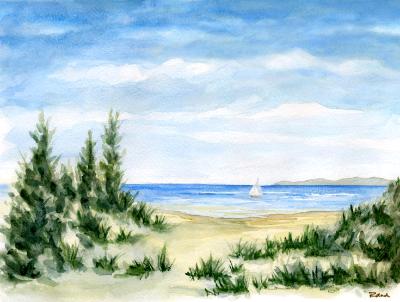 Summer Sail Summer Sail