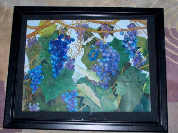 Concord grapes SOLD