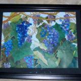 Concord grapes SOLD