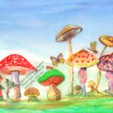 Toadstool garden 