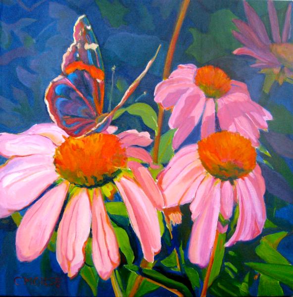 Visitor, Butterfly on Cone Flower