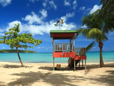 Lifeguard in Paradise Lifeguard in Paradise