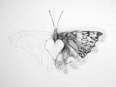 Heart with Disappearing Moth Heart with Disappearing Moth
