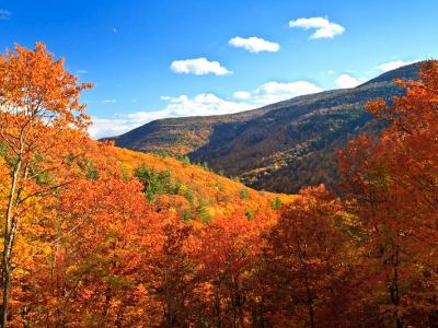 Kaaterskill Clove Peak Color Kaaterskill Clove Peak Color