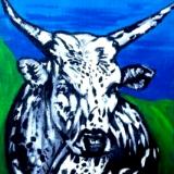 Nguni 2