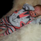 Reborn Preemie baby Boy ~ Lil Tiger - ADOPTED/SOLD