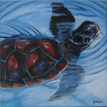 Sea turtle