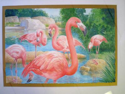 Flamingos