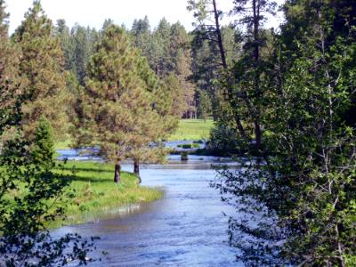 Metolius River