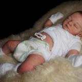 Minutes old newborn baby Boy ~ Finn ~ ADOPTED/SOLD