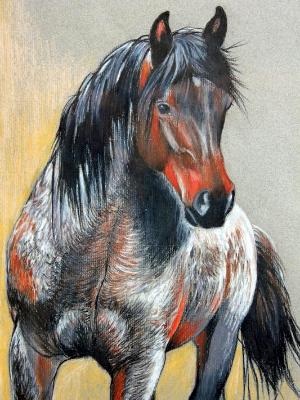 Red Faced Roan Red Faced Roan