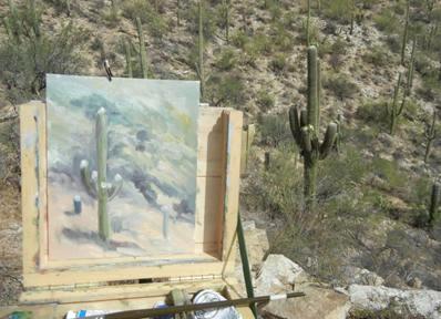 Sabino Saguaro