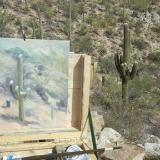 Sabino Saguaro